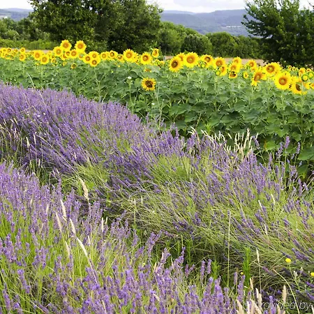 Ibis Styles Centre 4* Μοντελιμάρ