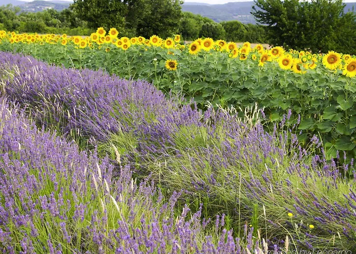 Ibis Styles Centre 4* Montélimar